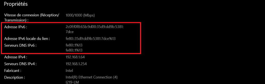 Différence entre une adresse IPv4 et IPv6