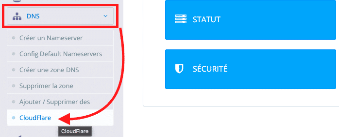 Configure CyberPanel DNS server using Cloudflare