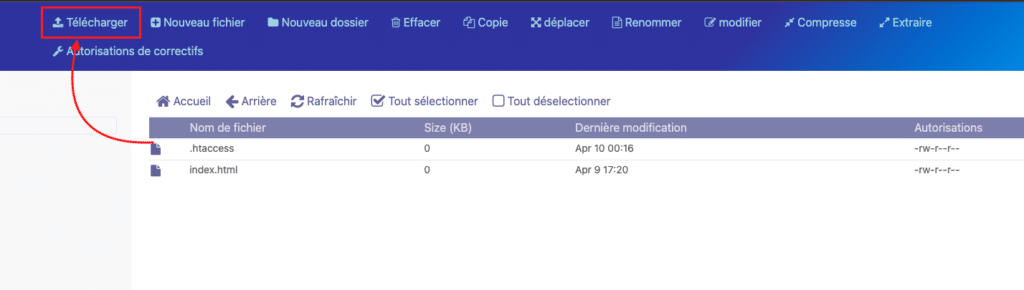 How do I create a BIMI record in CyberPanel?