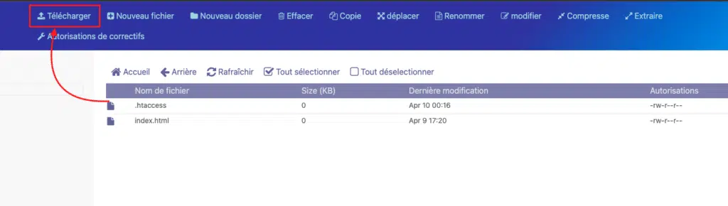 Comment créer un enregistrement BIMI dans CyberPanel ?