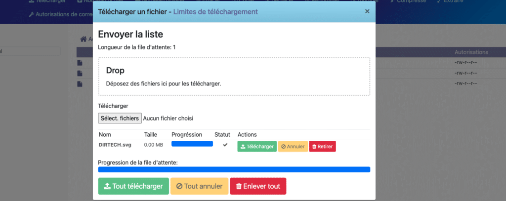 Comment créer un enregistrement BIMI dans CyberPanel ?